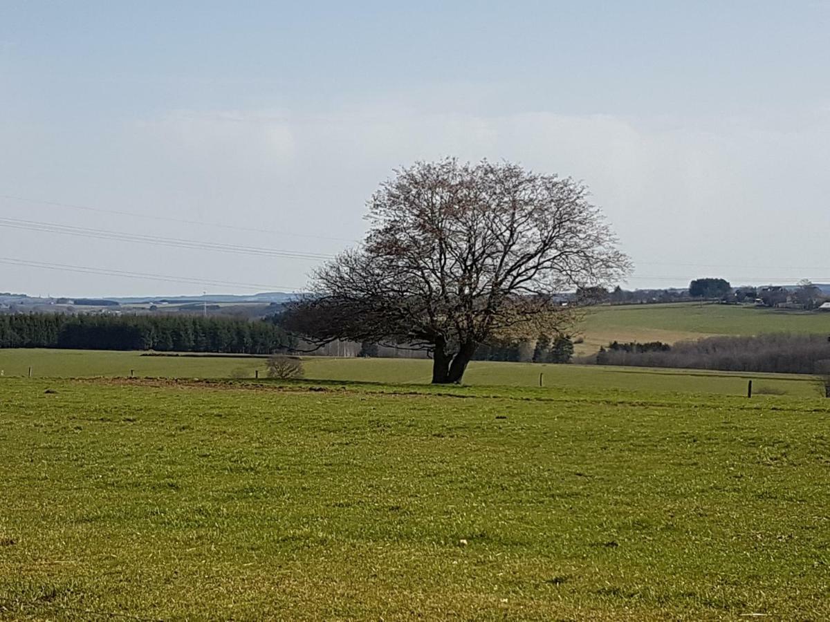 Le Clos De Rosa La-Roche-en-Ardenne Dış mekan fotoğraf